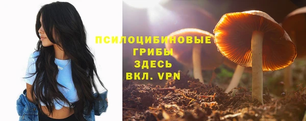 mdpv Баксан